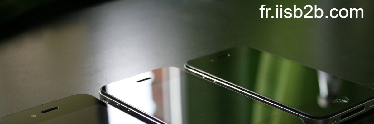 fr.iisb2b.com